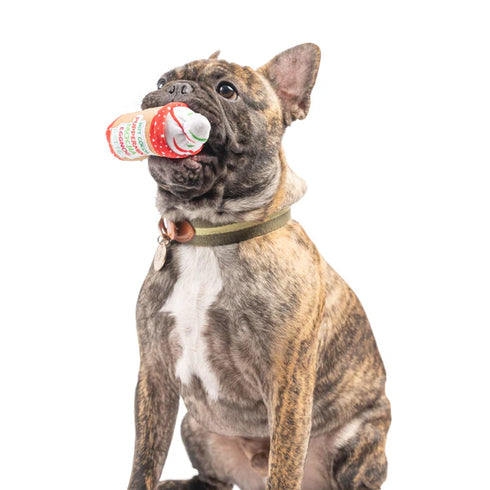 Huxley & Kent Tiny Tuff Latte My Way Dog Toy